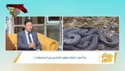 أسباب كثرة ظهور الثعابين وكيفية التعامل بحذر؟ | صباح النور