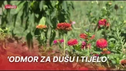 Tko kaže da za vrt trebate kuću? U Zagrebu ga možete dobiti besplatno, evo kako. | RTL Danas