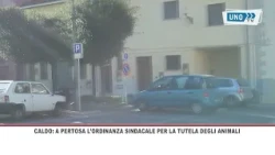 SRV PERTOSA ORDINANZA SINDACALE PER LA TUTELA DEGLI ANIMALI