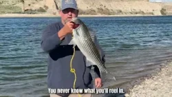 Spring Break Fishing on the Colorado River | Bullhead City, Arizona