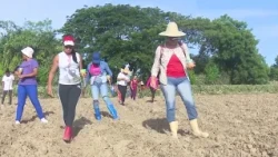 INF 6 MEJIAS WOMEN'S CONTRIBUTION TO THE TURQUINO PLAN