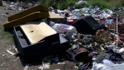 Uređenje grada u letnjim mesecima, 12. avgust 2026.(RTV Bor)