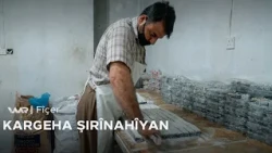 Fîçer - Kargeha Şirînahîyan | فیچەر - کارگەها شریناهییان