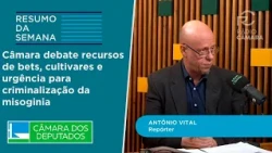 Câmara debate recursos de bets, cultivares e urgência para criminalização da misoginia - 03/07/26
