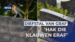 Grave theft: 'hack those claws off'