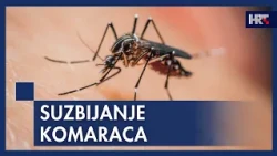 Zagreb kreće u akciju protiv komaraca