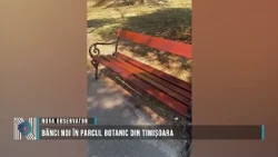 New benches in the Botanical Park of Timișoara