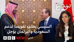لماذا أرجأ البرلمان المصري التصويت على تفويض لدعم السعودية؟