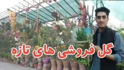 گزارش جالب صفت ناصری از گل فروشی های کابل