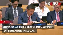 China Calls for Greater International Support for Education in Sudan