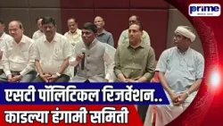Temporary Committee Constituted for ST Political Reservation