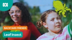 Why is that leaf....WALKING?! 🍃 | Gardening Australia Junior | ABC Kids