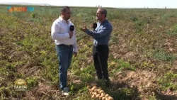Agriculture Academy Episode 15 October 14, 2026 Potato Farming