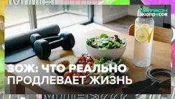Healthy Living Without the Extremes: What Actually Helps Your Heart and Vessels | A Million Quest...
