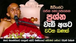 ප්‍රශ්න වැඩි අයට වටිනා බණක් | මහමෙව්නාව භාවනා අසපුව - මහව | Ven Ankubure Amithadeepa Thero