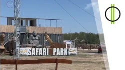 Egy délután a Richter Safari Parkban