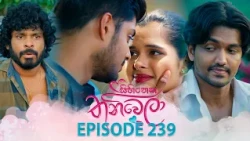 Sihineka Thaniwela (සිහිනෙක තනිවෙලා) | Episode 239 - (2026-09-02) | ITN
