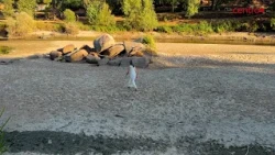 Portugal's longest river is dry in some sections