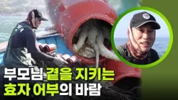 부모님 곁을 지키는 효자 어부의 바람 [생활의 발견] | KBS 260831 방송