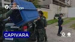 Capybara found in Vitória attracts onlookers