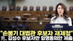 Blue House Requests Re-nomination of Supreme Court Justice Nominee Son Bong-gi... Only Appointmen...