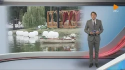 Debrecen Televízió Híradó  (2026.08.07.)