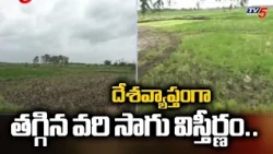 ఆగని ఎల్ నినో సెగ... Impact Of El Nino On Paddy Cultivation In India | TV5 News