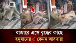 'Please give me a little itch': Hanuman's strange request to an old man in a crowded market! | Ba...
