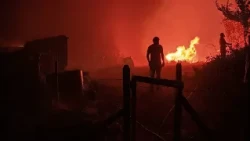 Qué hacer si te sorprende un incendio como el de Almería y por qué ningún territorio está a salvo