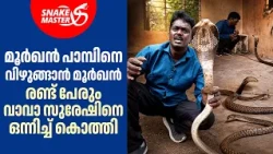 ജസ്റ്റ് മിസ്സ്‌, രണ്ട് മൂർഖൻ പാമ്പുകൾ ഒന്നിച്ച് കൊത്തി | Double Cobra Rescue | Snakemaster EP 1202