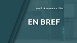 In brief