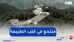 "Tala Guilef" Cedar Resort in Tizi Ouzou... A natural treasure nestled in the Djurdjura Mountains