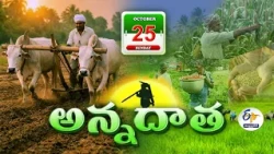 అన్నదాత | 25th October "2026 | Annadata | Full Bulletin | ETV Andhra Pradesh