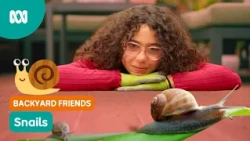 Why are snails so SLIMEY?! 🐌 | Gardening Australia Junior | ABC Kids
