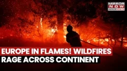 Europe Is Burning! Wildfires Rage Across France, Spain, Croatia, Germany, Over 250,000 Displaced