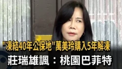 "Public Land Frozen for 40 Years" Unfreezes 5 Years After Wan Mei-ling's Purchase; Chuang Jui-hsi...