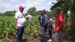 Drought impacts food production in #Jobabo