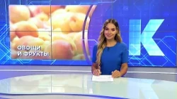 Kaliningrad News: Daily Roundup, July 22, 2026 Kaskad TV