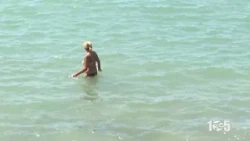 Policastro Gulf Green Sea Complaints Aug 10