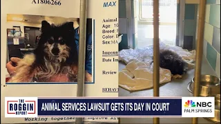 Controversial New Laws & Legal Battles – The Roggin Report