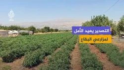 The Agricultural Sector in the Bekaa: War Losses and Hopes for Regaining Foreign Markets