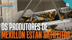 Os PRODUCTORES de MEXILLÓN están moi satisfeitos coa ÚLTIMA CAMPAÑA | HORA GALEGA