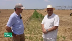 How to earn extra money after the wheat harvest 07/02/2026