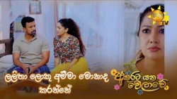 ලලිතා ලොකු අම්මා මොනාද කරන්නේ