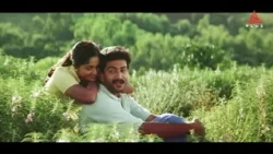 പൃഥ്വിരാജ് -കാവ്യാ മാധവൻ ജോഡി ഒരുമിച്ച റൊമാന്റിക് ത്രില്ലർ 'കഥ'