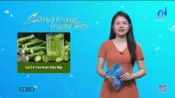 Healthcare - Benefits of Okra Water