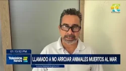 #TeleislasNews I Llamado a no arrojar animales muertos al mar