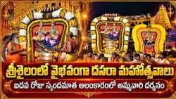 Grand Dussehra Celebrations at Srisailam - Goddess Darshan in Skandamata Alankaram on the Fifth Day