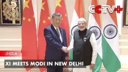 Xi Meets Modi in New Delhi
