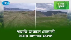 পাহাড়ি অঞ্চলে সোনালী গমের বাম্পার ফলন | Sobuj Prithibe | Rtv